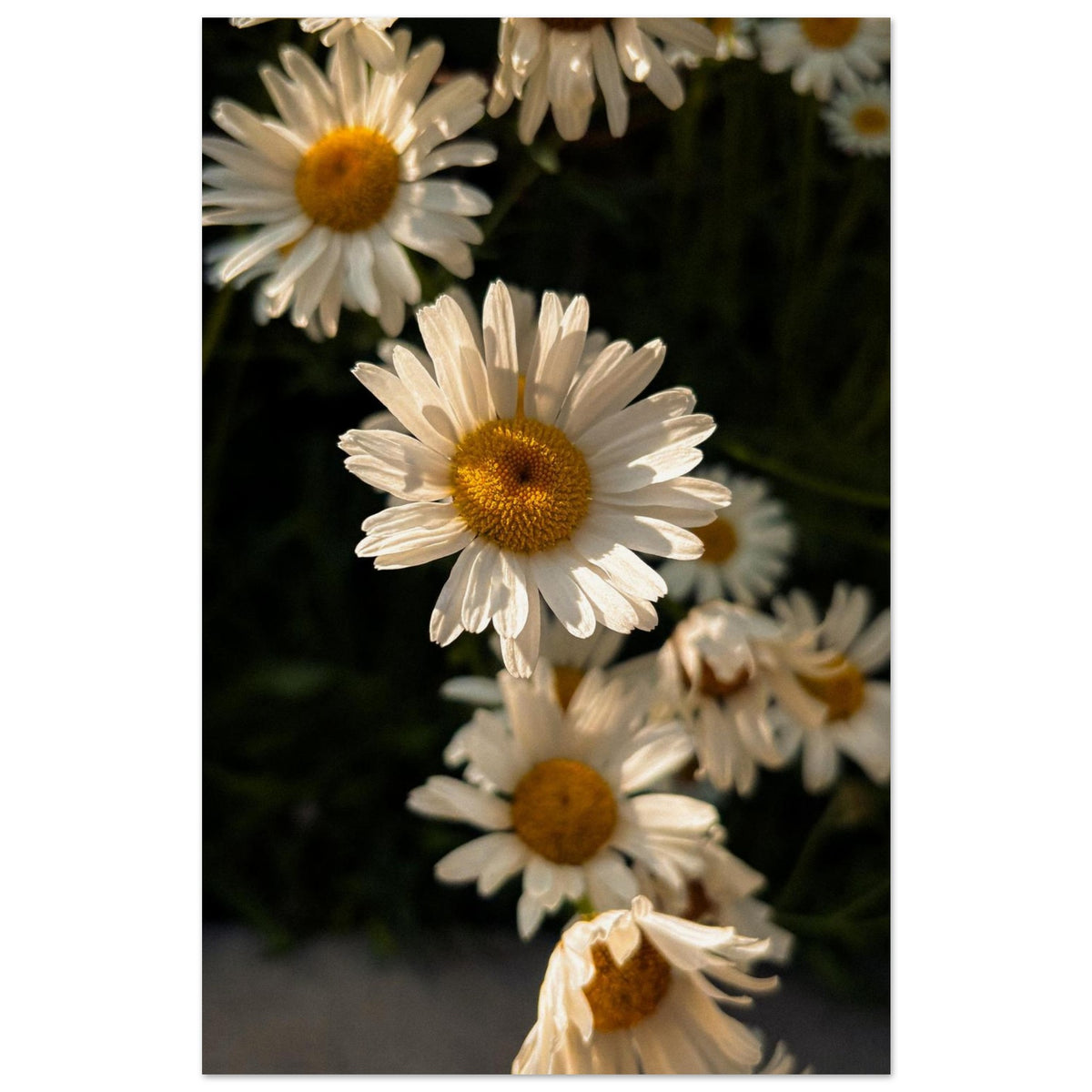 e74ed063-d630-4499-b522-ffbda701912e